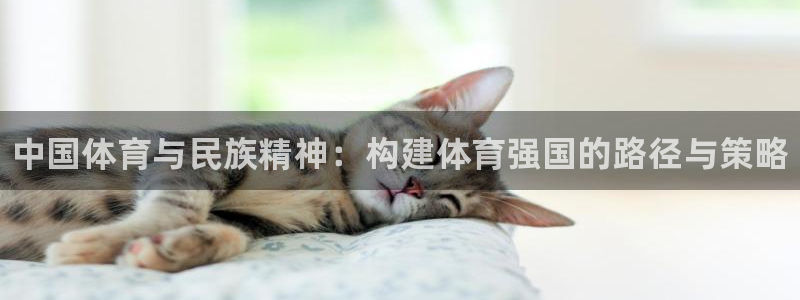 JJB竞技宝官网下载招商电话号码是多少号：中国体育与