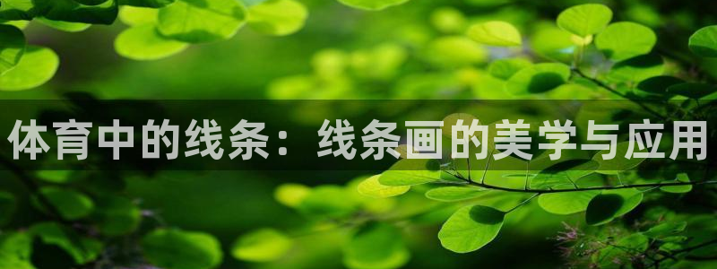 JJB竞技宝官网下载招商电话号码查询：体育中的线条：