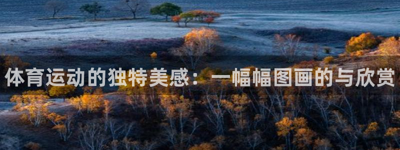 JJB竞技宝官网下载注册：体育运动的独特美感：一幅幅图画的与