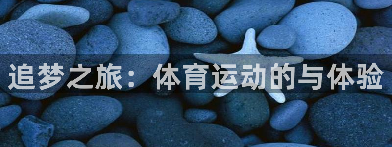 JJB竞技宝官方正版app集团：追梦之旅：体育运动的与体验