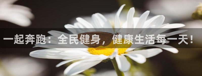 注册JJB竞技宝官方正版app：一起奔跑：全民健身，健康生活