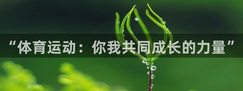 海南JJB竞技宝官网下载：“体育运动：你我共同成长的力量”