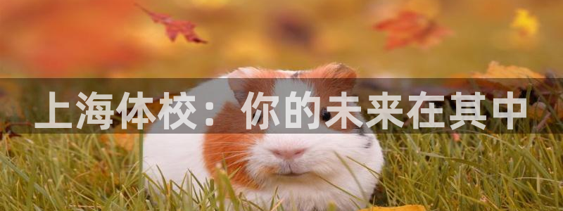 JJB竞技宝官网下载招商电话地址查询：上海体校：你的未来在其
