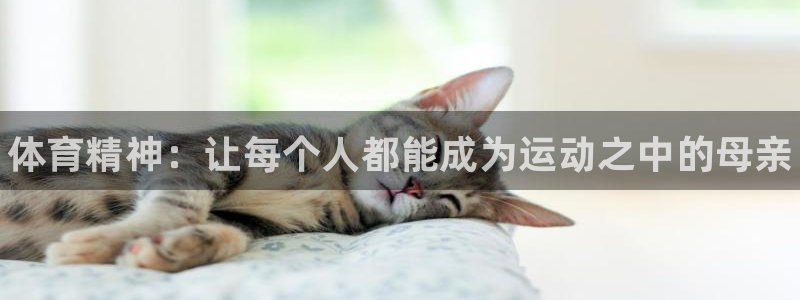 JJB竞技宝官方正版app娱乐网站：体育精神：让每个