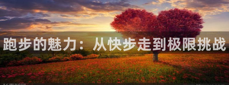 JJB竞技宝官网下载平台是正规平台吗安全吗：跑步的魅力：从快