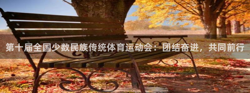 JJB竞技宝官方正版app开户：第十届全国少数民族传