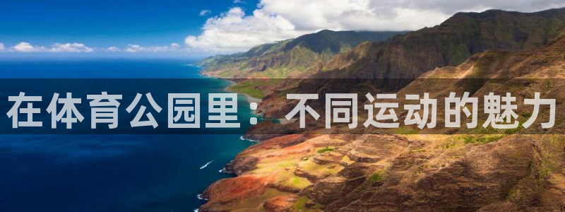 JJB竞技宝官网下载平台注册流程图：在体育公园里：不同运动的