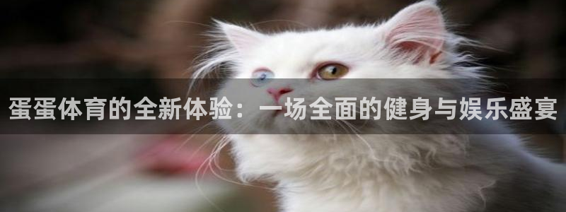 JJB竞技宝官网下载招商电话是多少
