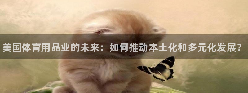 JJB竞技宝官网下载招商电话号码是多少啊：美国体育用品业的未