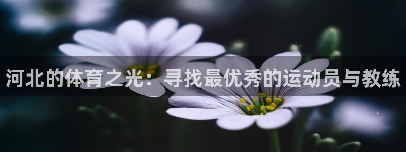 JJB竞技宝官方平台体育：河北的体育之光：寻找最优秀