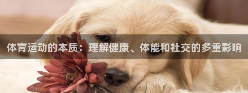 JJB竞技宝官网下载平台APP：体育运动的本质：理解健康、体
