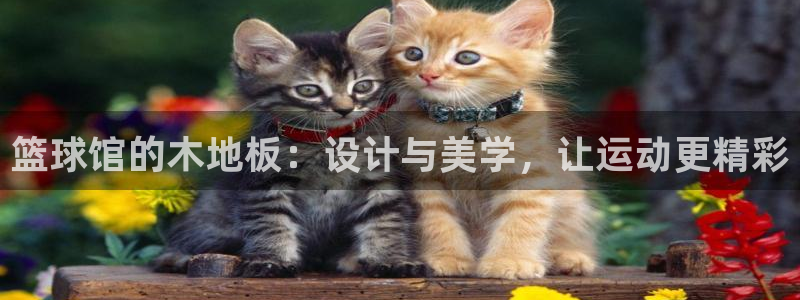 JJB竞技宝官网下载软件：篮球馆的木地板：设计与美学，让运动