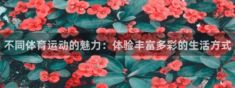 JJB竞技宝官网下载平台假的吗是真的吗吗：不同体育运动的魅力