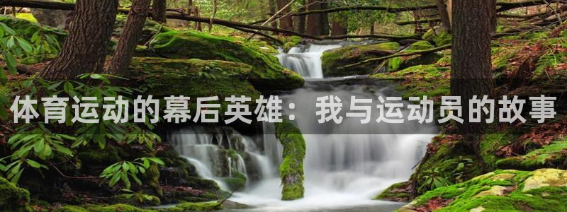 JJB竞技宝官方正版app集团E.ON：体育运动的幕后英雄：