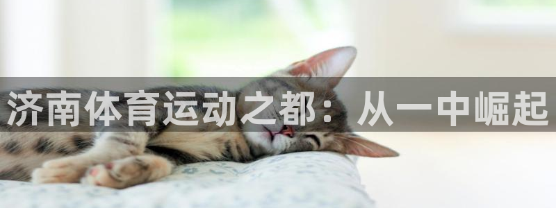 JJB竞技宝官网下载招商电话地址：济南体育运动之都：从一中崛