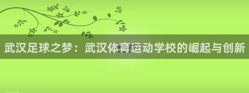 JJB竞技宝官网下载平台APP：武汉足球之梦：武汉体