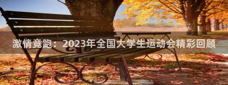 JJB竞技宝官方正版app娱乐平台：激情竞跑：2023年全国