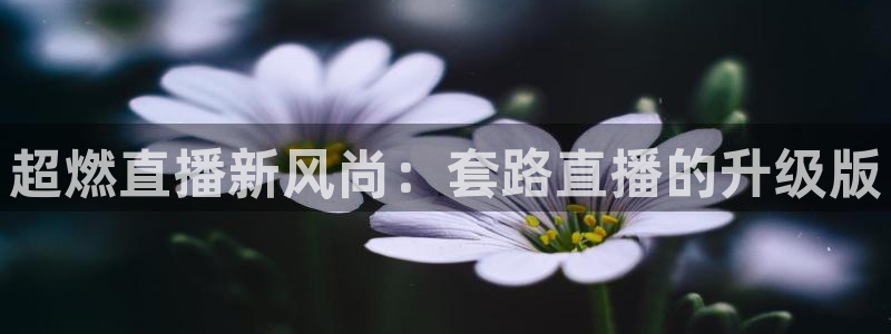 nba在线直播免费观看直播乐球：超燃直播新风尚：套路直播的升级版