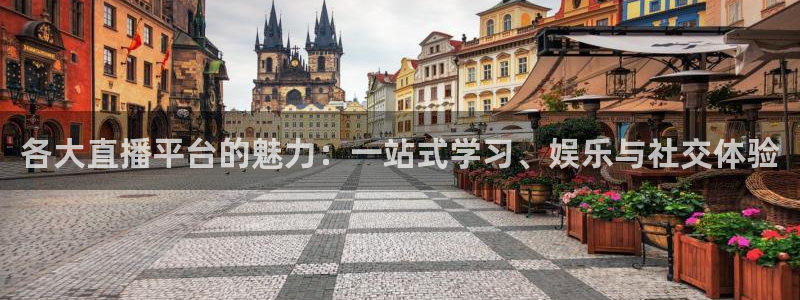 乐球篮球直播：各大直播平台的魅力：一站式学习、娱乐与社交体验