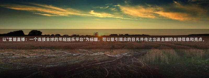 乐球无插件免费直播：以\