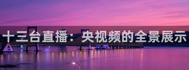 乐球无插件免费直播：十三台直播：央视频的全景展示