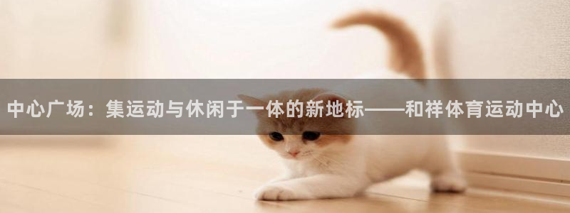 竞技宝下载地址是什么：中心广场：集运动与休闲于一体的新地标—