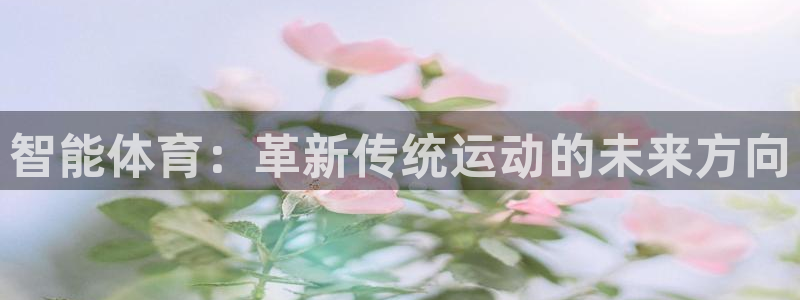  竞技宝是哪个平台旗下的：智能体育：革新传统运动的未来方向