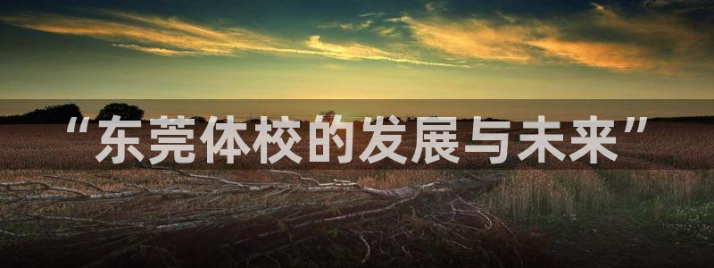  竞技宝下载App：“东莞体校的发展与未来”