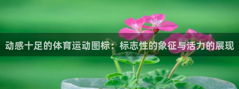  竞技宝能提现吗怎么提现：动感十足的体育运动图标：标志性的象征