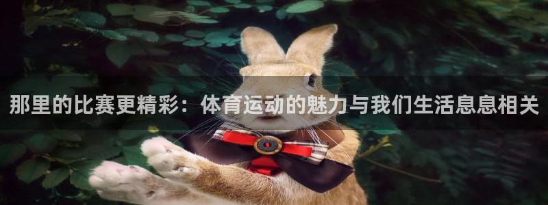 竞技宝有没有不给提款的：那里的比赛更精彩：体育运动的魅力与我
