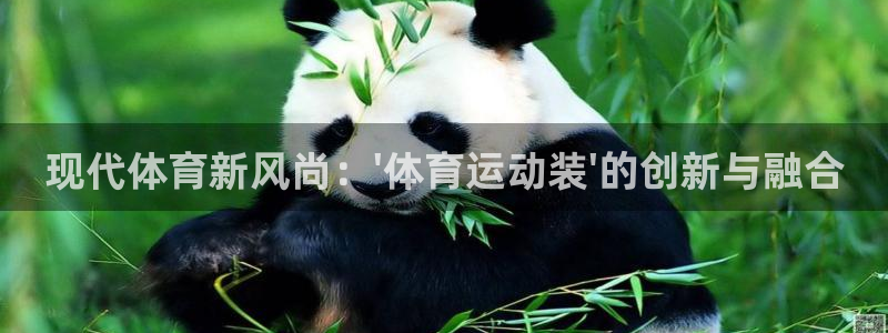  竞技宝官网one：现代体育新风尚：\'体育运动装\'的创新与