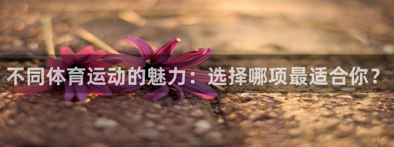  竞技宝官网链接怎么打开：不同体育运动的魅力：选择哪项最适合你