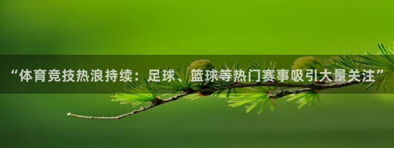 竞技宝下载地址查询：“体育竞技热浪持续：足球、篮球等热门赛事